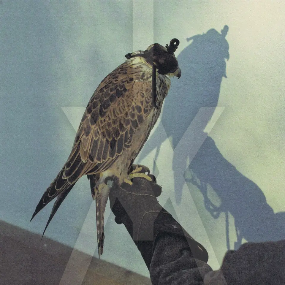 You're Nothing album artwork