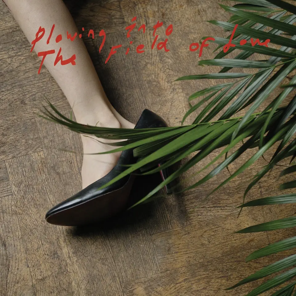 Plowing Into The Field Of Love album artwork