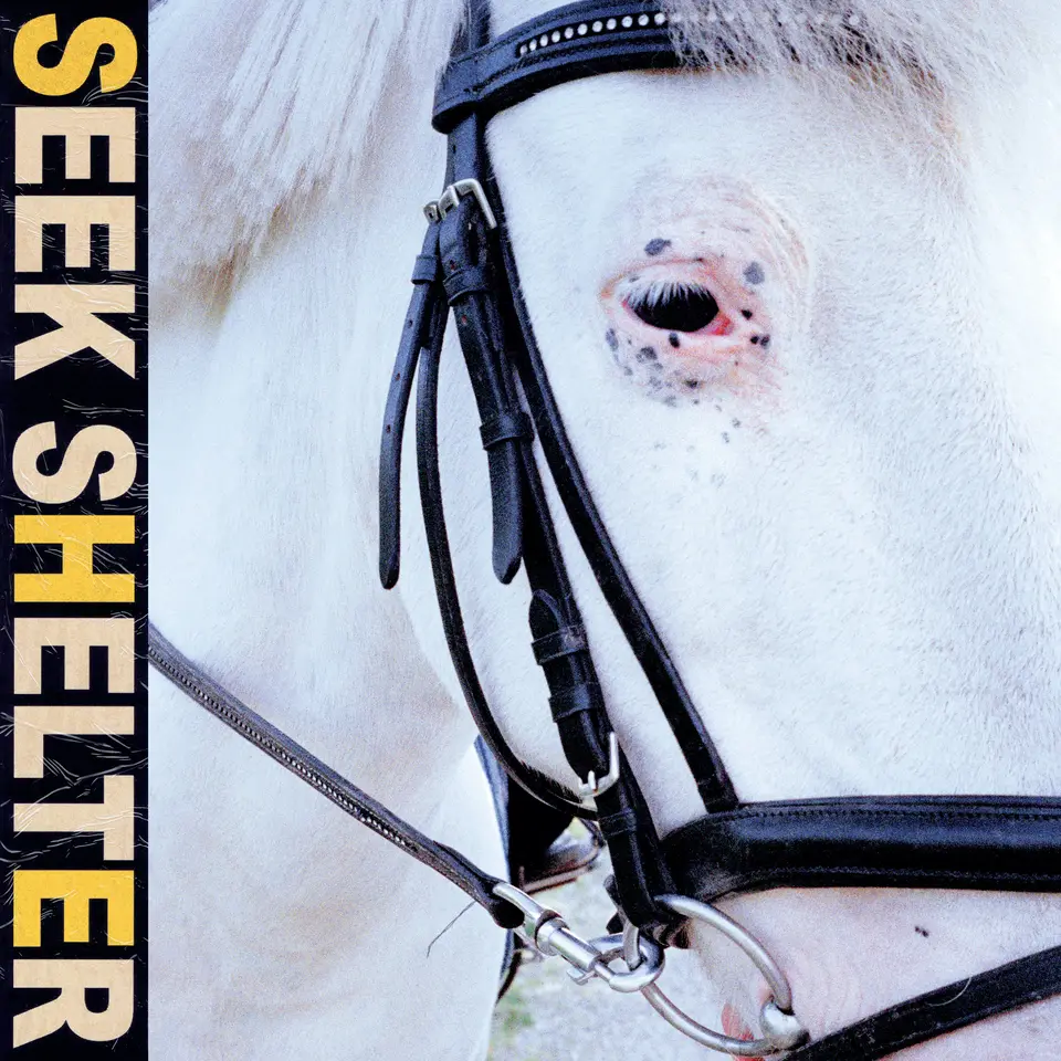 Seek Shelter album artwork
